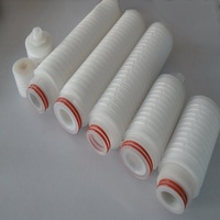 聚醚砜(PES)微孔膜折叠滤芯