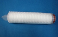 聚四氟乙烯(PTFE)微孔膜折叠滤芯